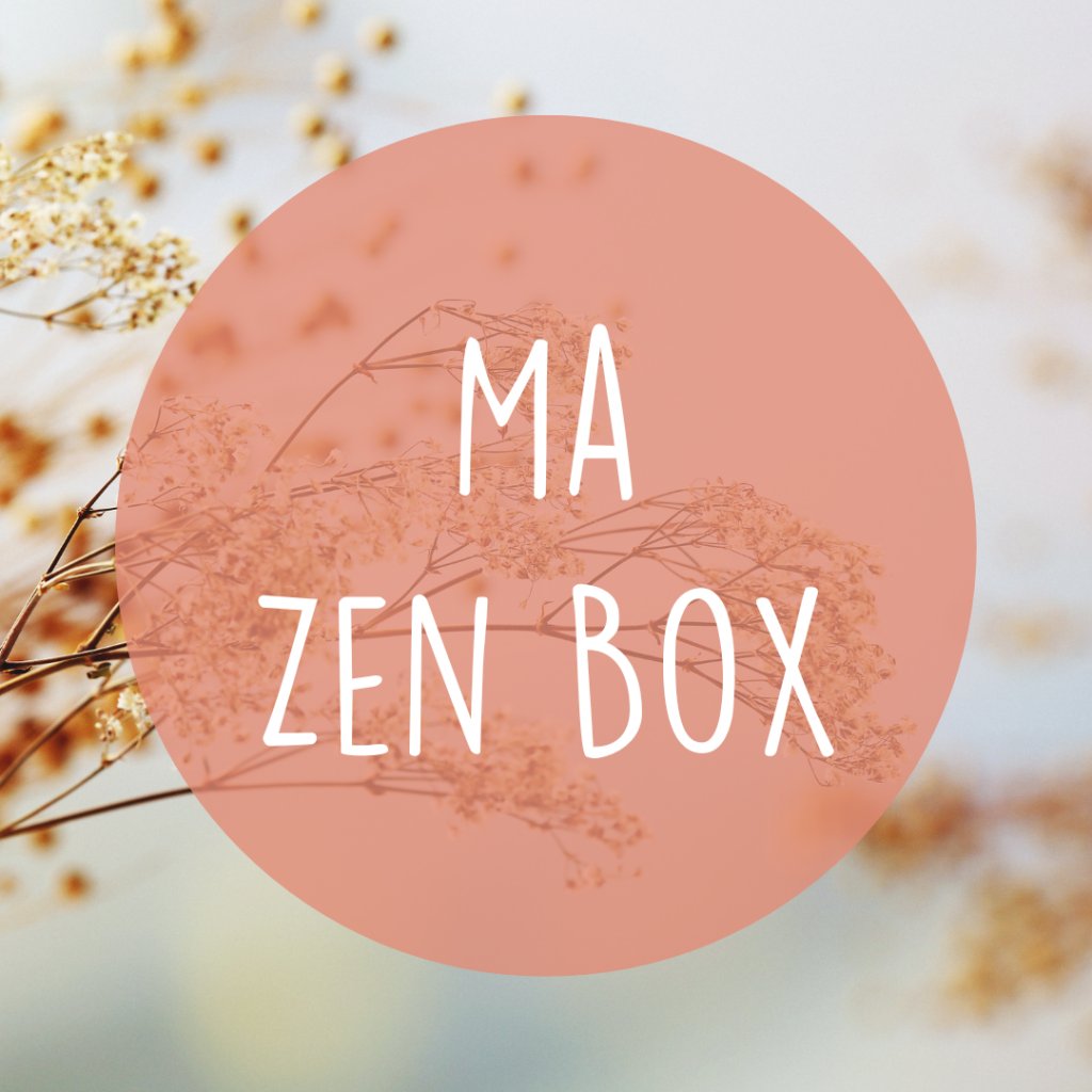 La Zen Box, formation en ligne pour cultiver l'équilibre émotionnel, gestion des émotions, formation de régulation des émotions pour adulte, protocoles d'hypnoses et outils apaisants